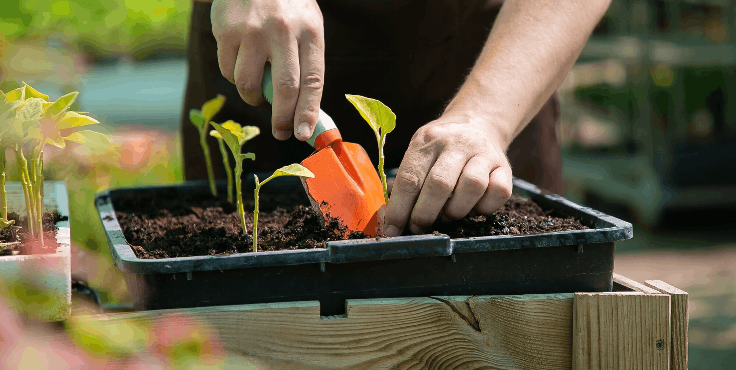 Every Great Garden Begins <br>With One Small Seed