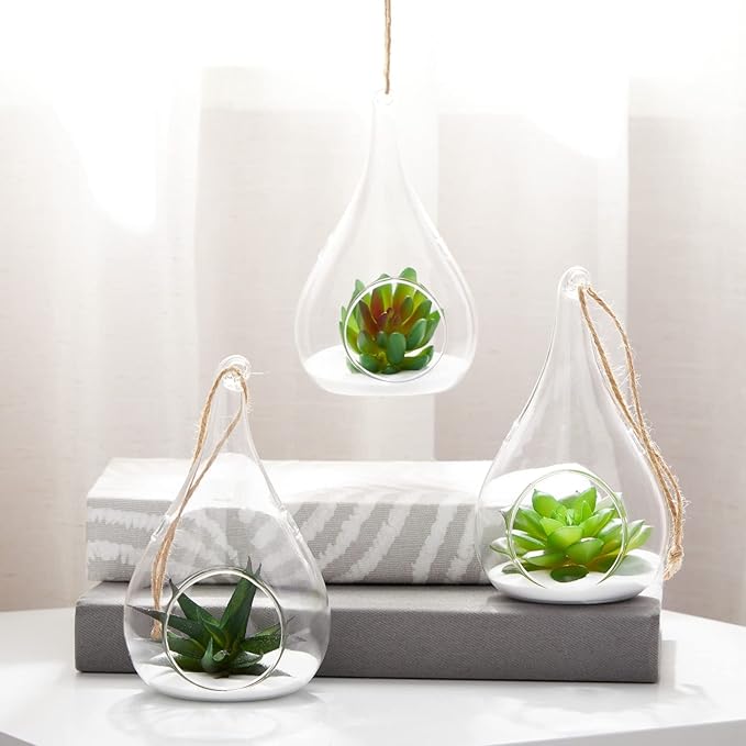 Glass Terrariums