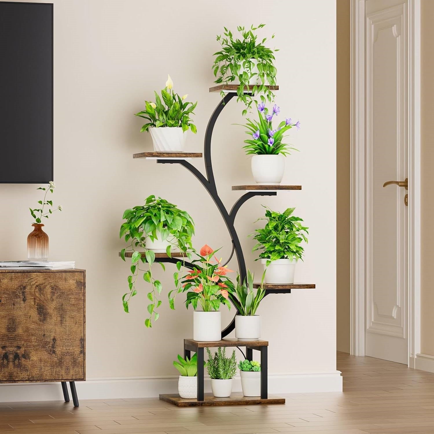Indoor Decor