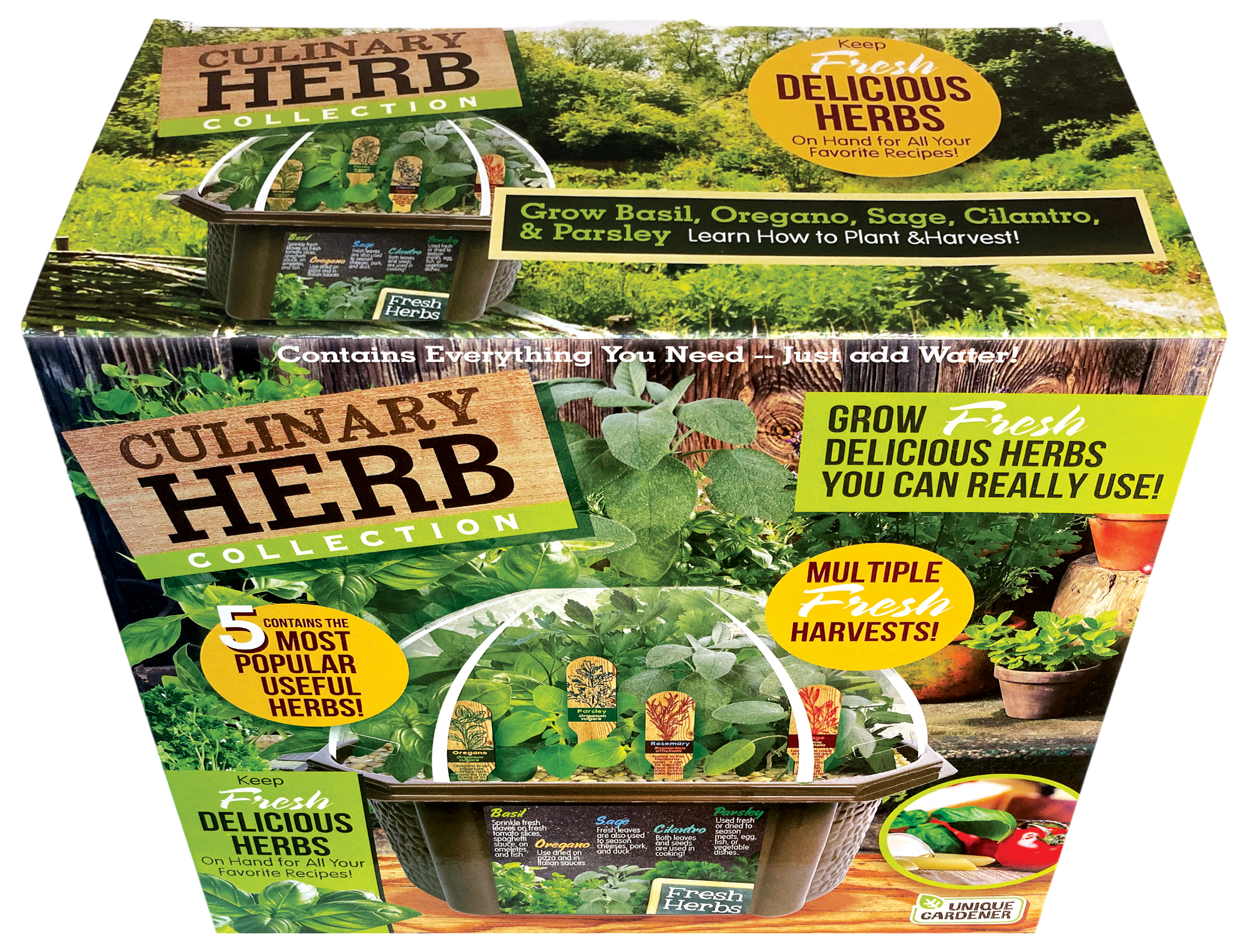 Culinary Herb Collection Biosphere Terrarium