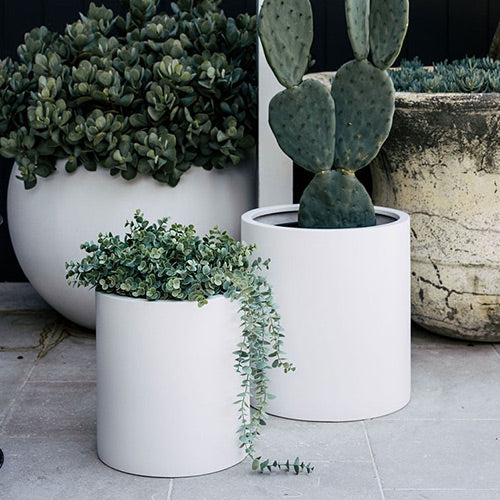Choob
