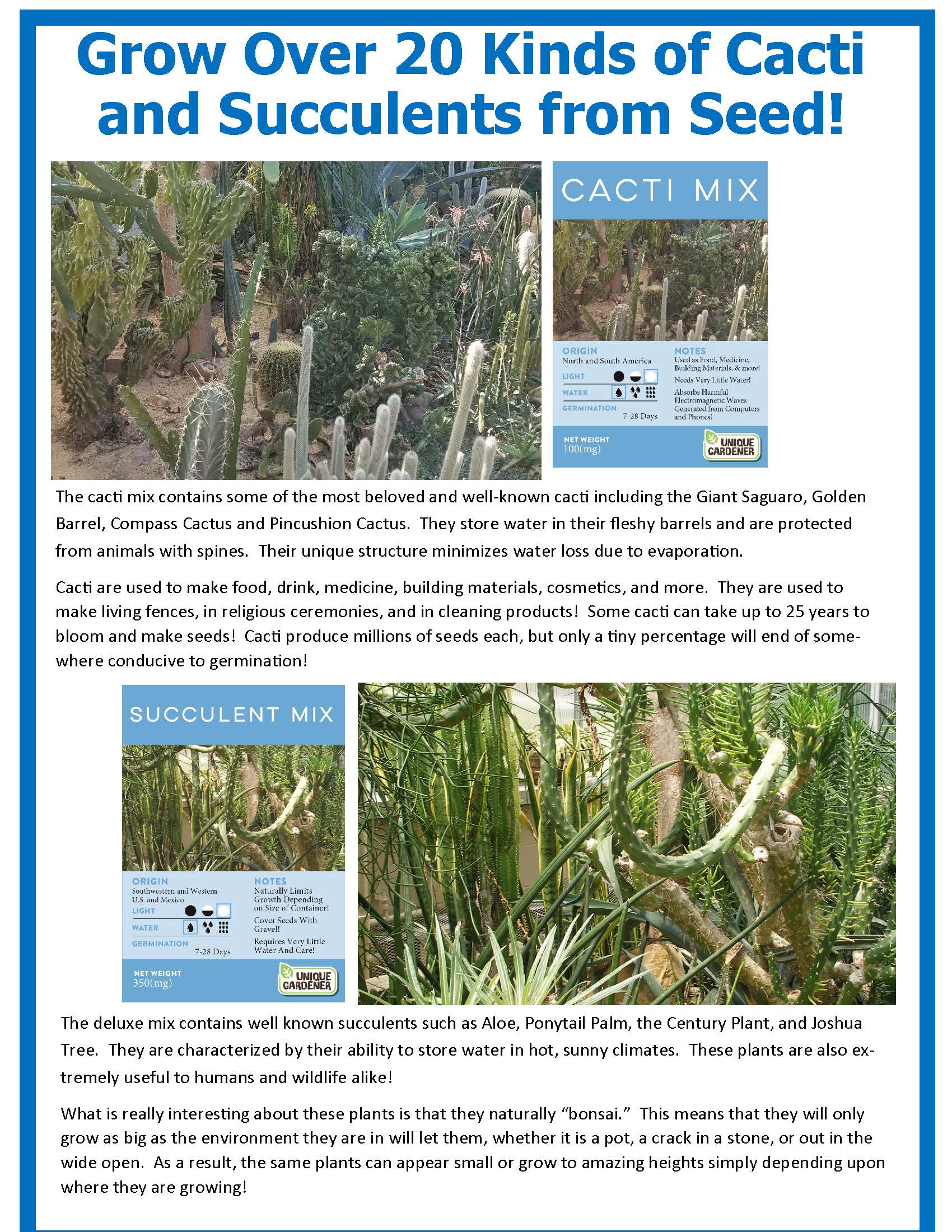 Desert Escape Growarium Succulent and Cacti Seed Terrarium Kit