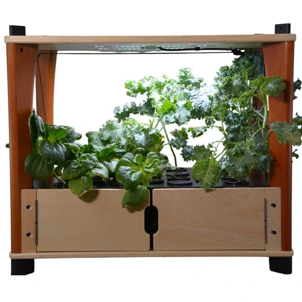 Aquager Home Farm — 24 Plants