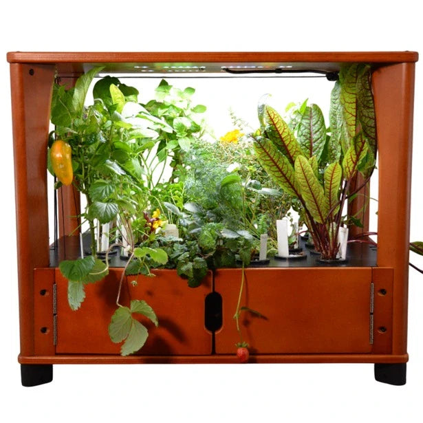 Aquager Home Farm — 24 Plants