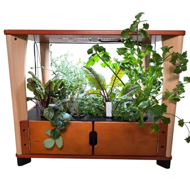 Aquager Home Farm — 24 Plants