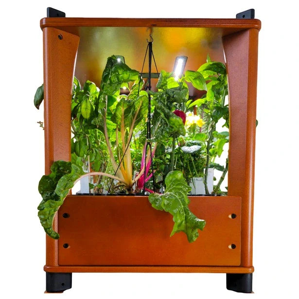 Aquager Home Farm — 24 Plants