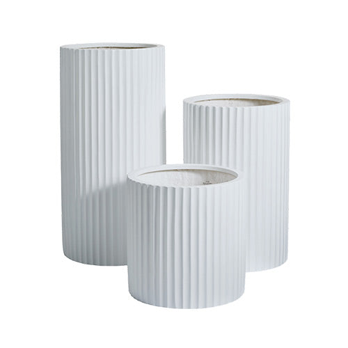 Ribbed Loob