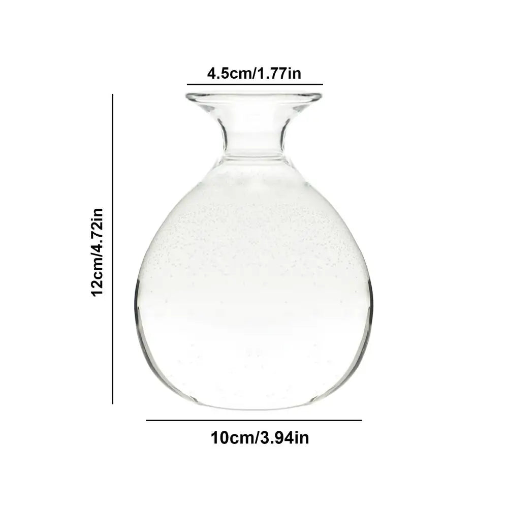 DecorBites™ Glass Avocado Seed Starter Vase Kit