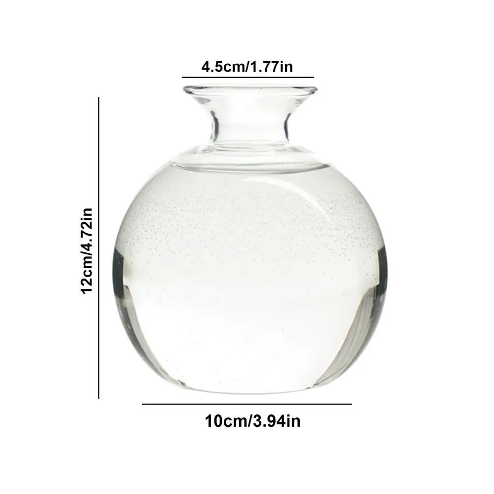 DecorBites™ Glass Avocado Seed Starter Vase Kit