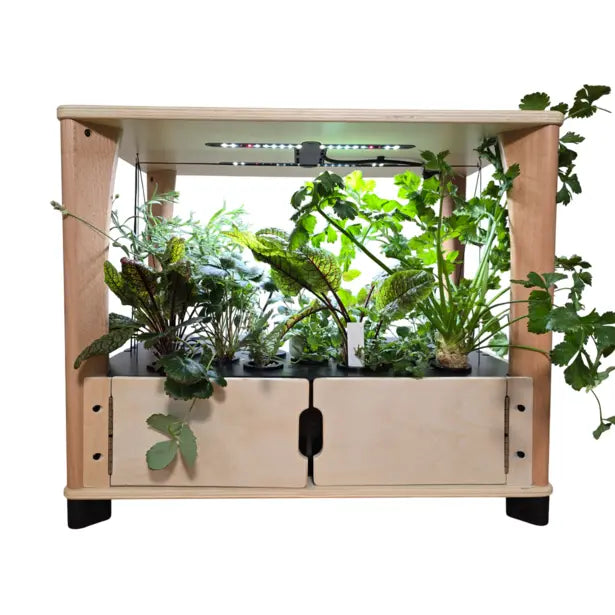 Aquager Home Farm — 24 Plants