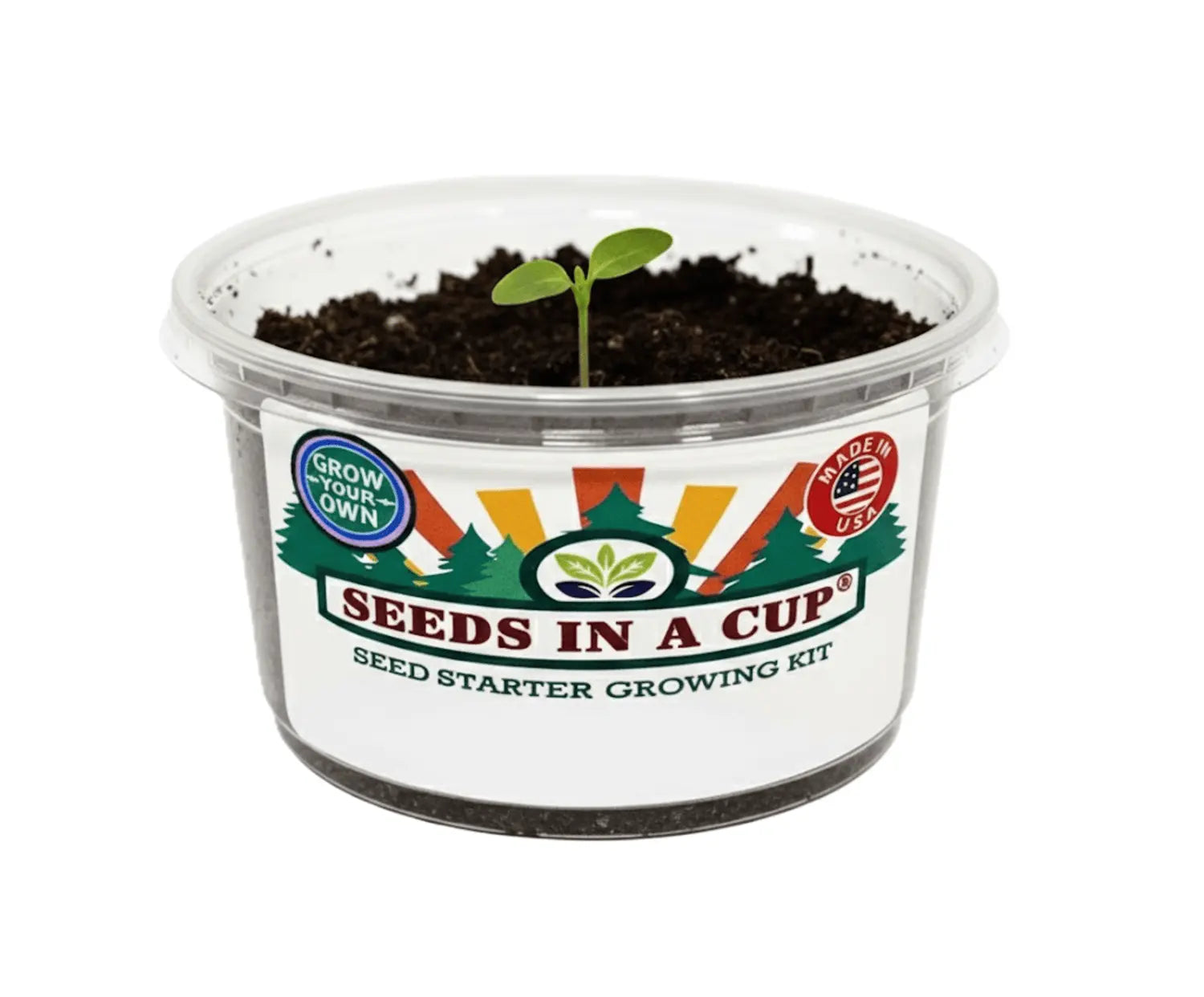 Banana Pepper Grow Kit | Grow Sweet Peppers from Seed | Seeds In A Cup®