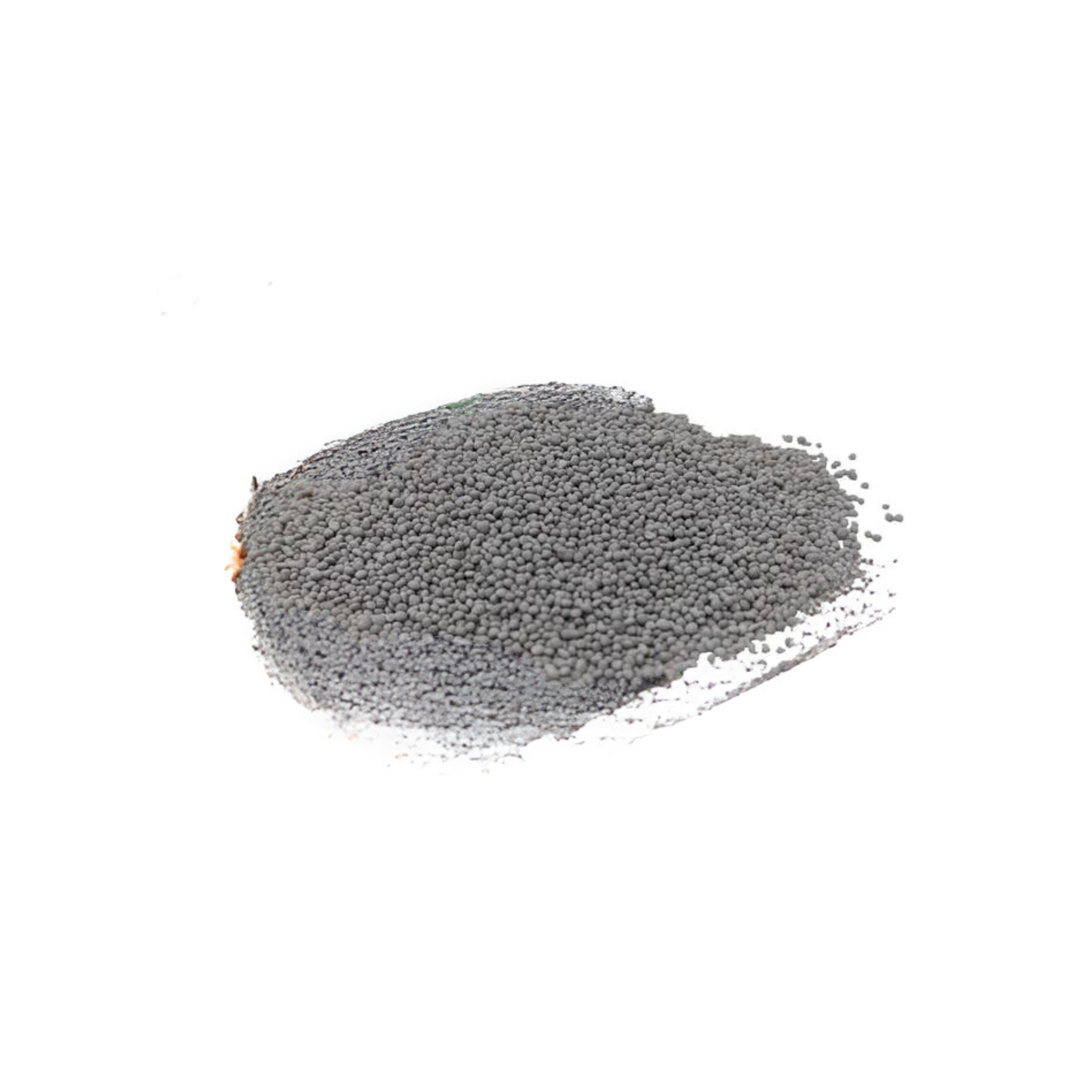 Microclover Natural Alternative Lawn Seed